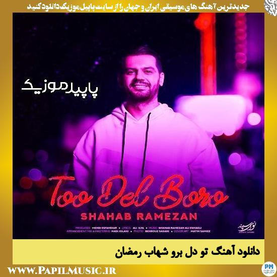 دانلود آهنگ تو دل برو از شهاب رمضان